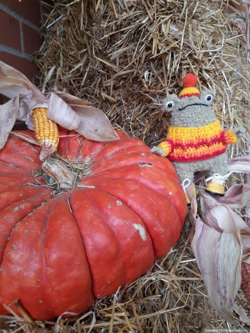 Лягушонок-путешественник Кваша гуляет (фото 4)