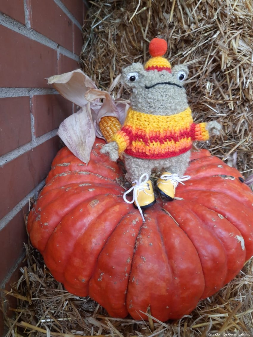 Лягушонок-путешественник Кваша гуляет