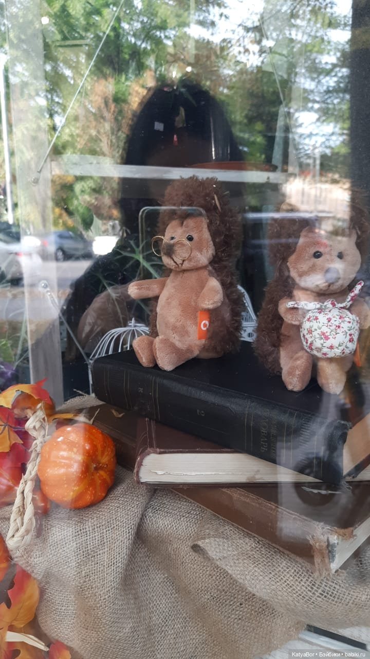 Лягушонок-путешественник Кваша гуляет