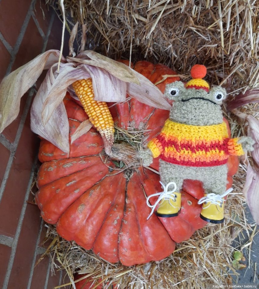 Лягушонок-путешественник Кваша гуляет (фото 5)