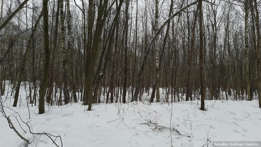 Аукаем зимой в лесу — Домашние фото авторских кукол: личные коллекции (фото 10)