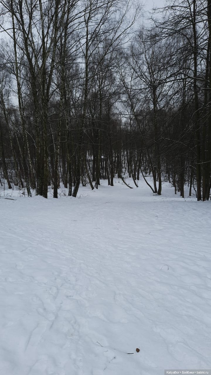 Аукаем зимой в лесу — Домашние фото авторских кукол: личные коллекции