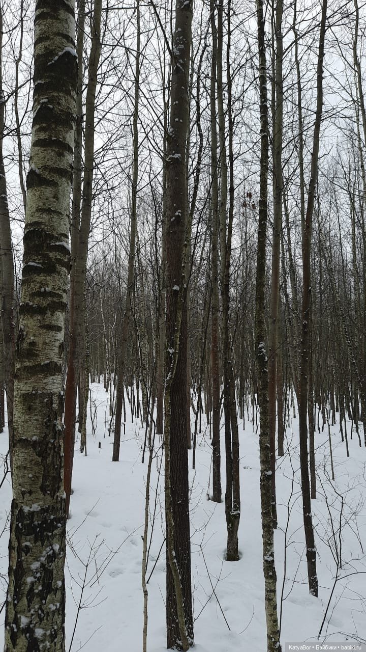 Аукаем зимой в лесу — Домашние фото авторских кукол: личные коллекции