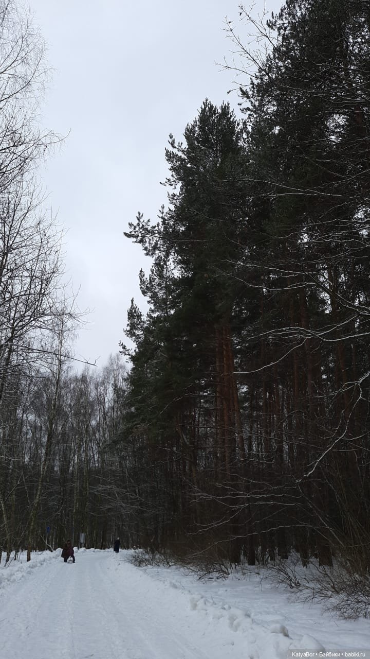 Аукаем зимой в лесу — Домашние фото авторских кукол: личные коллекции (фото 2)