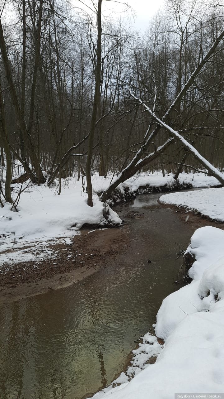 Аукаем зимой в лесу — Домашние фото авторских кукол: личные коллекции