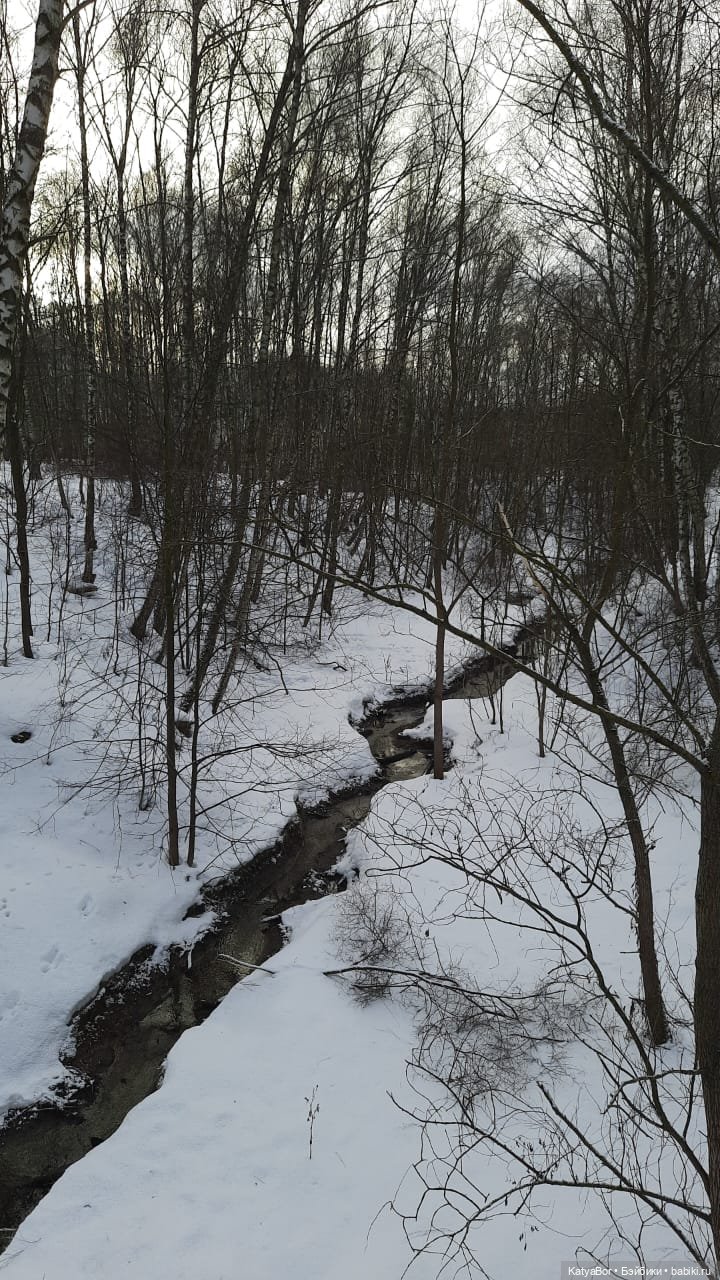 Аукаем зимой в лесу — Домашние фото авторских кукол: личные коллекции