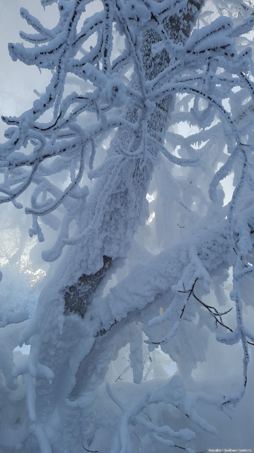 Вертеп — Культура