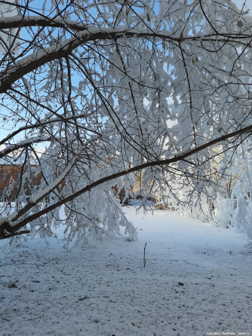 Вертеп — Культура (фото 2)