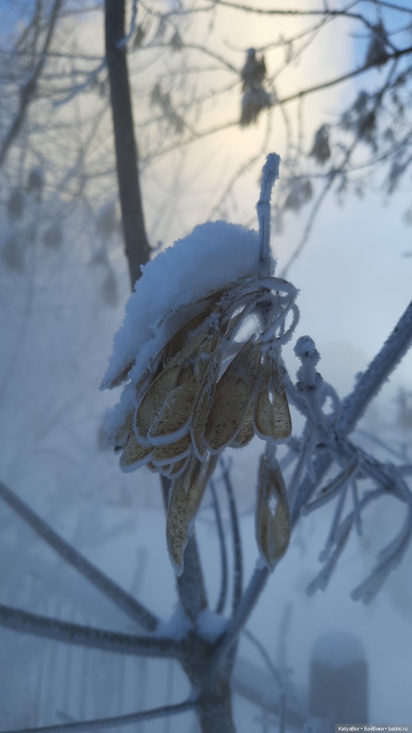 Вертеп — Культура (фото 5)