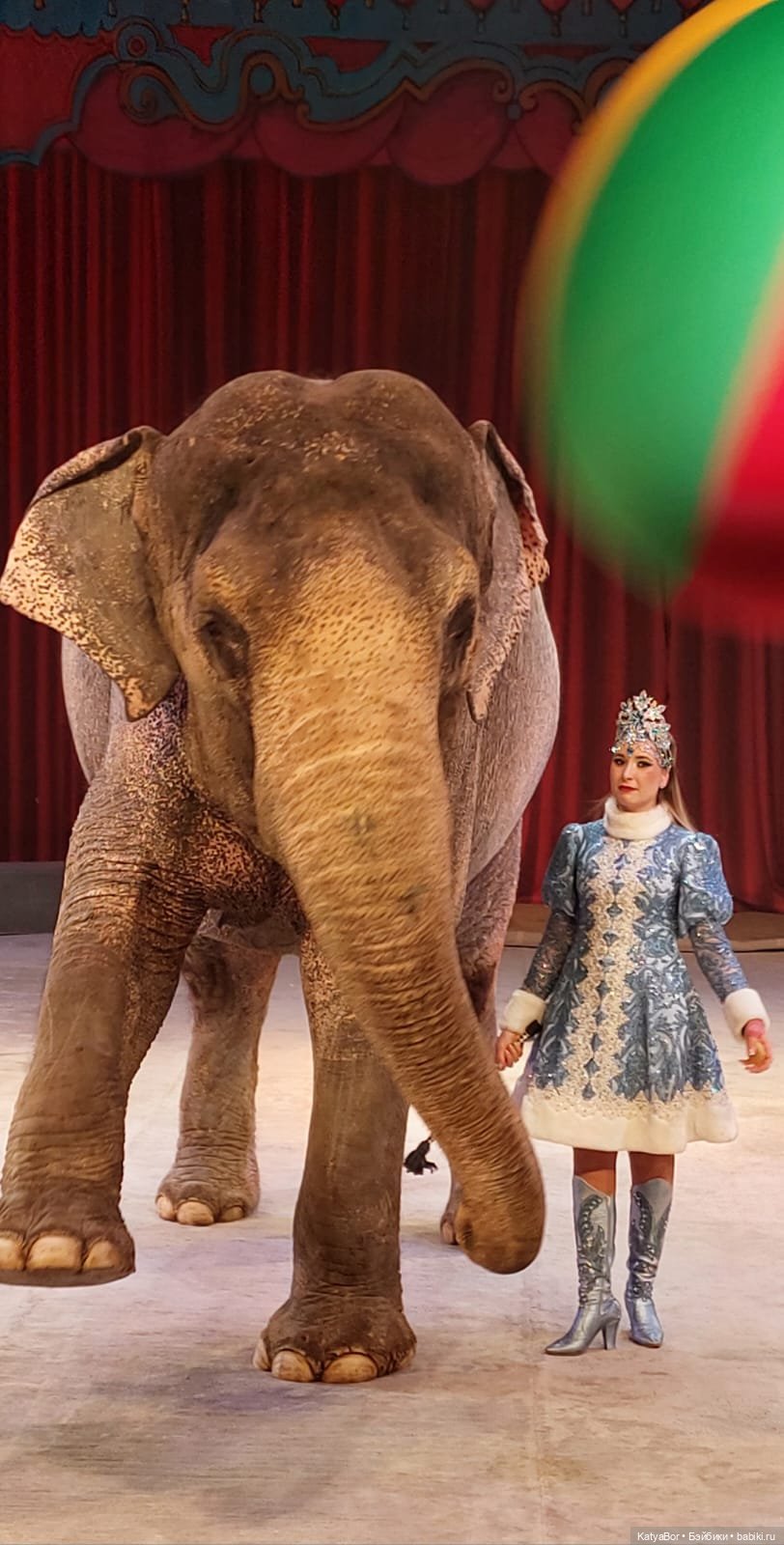 Елка в "Уголке дедушки Дурова"