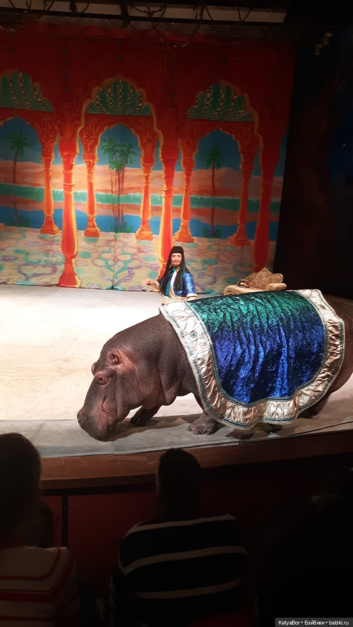 Елка в "Уголке дедушки Дурова"