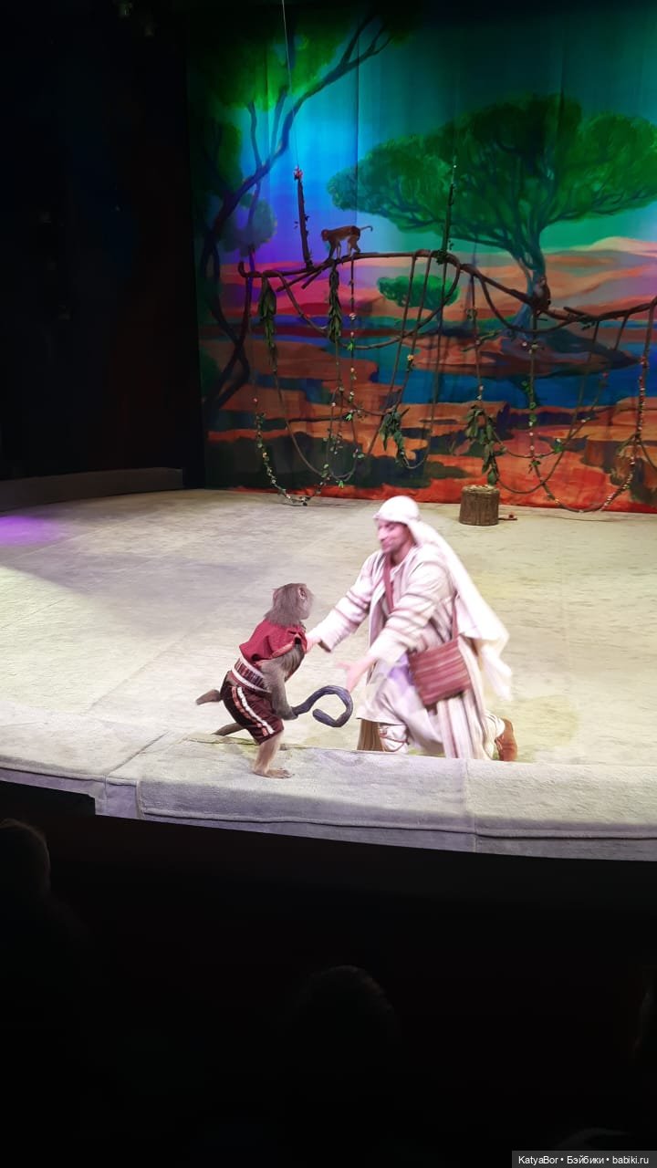 Елка в "Уголке дедушки Дурова" (фото 9)