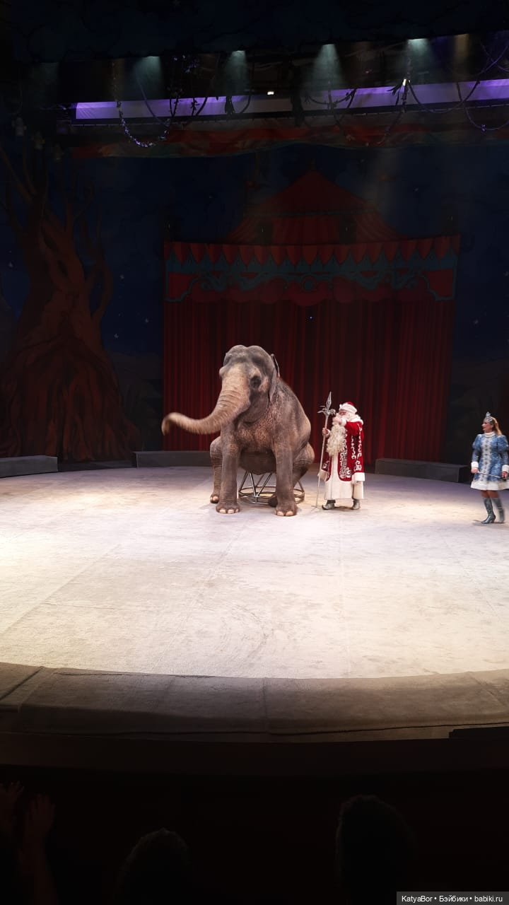 Елка в "Уголке дедушки Дурова"