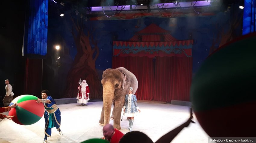 Елка в "Уголке дедушки Дурова"