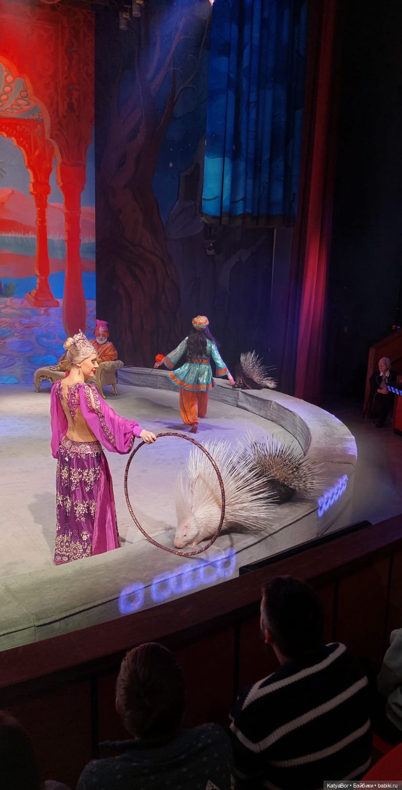 Елка в "Уголке дедушки Дурова"