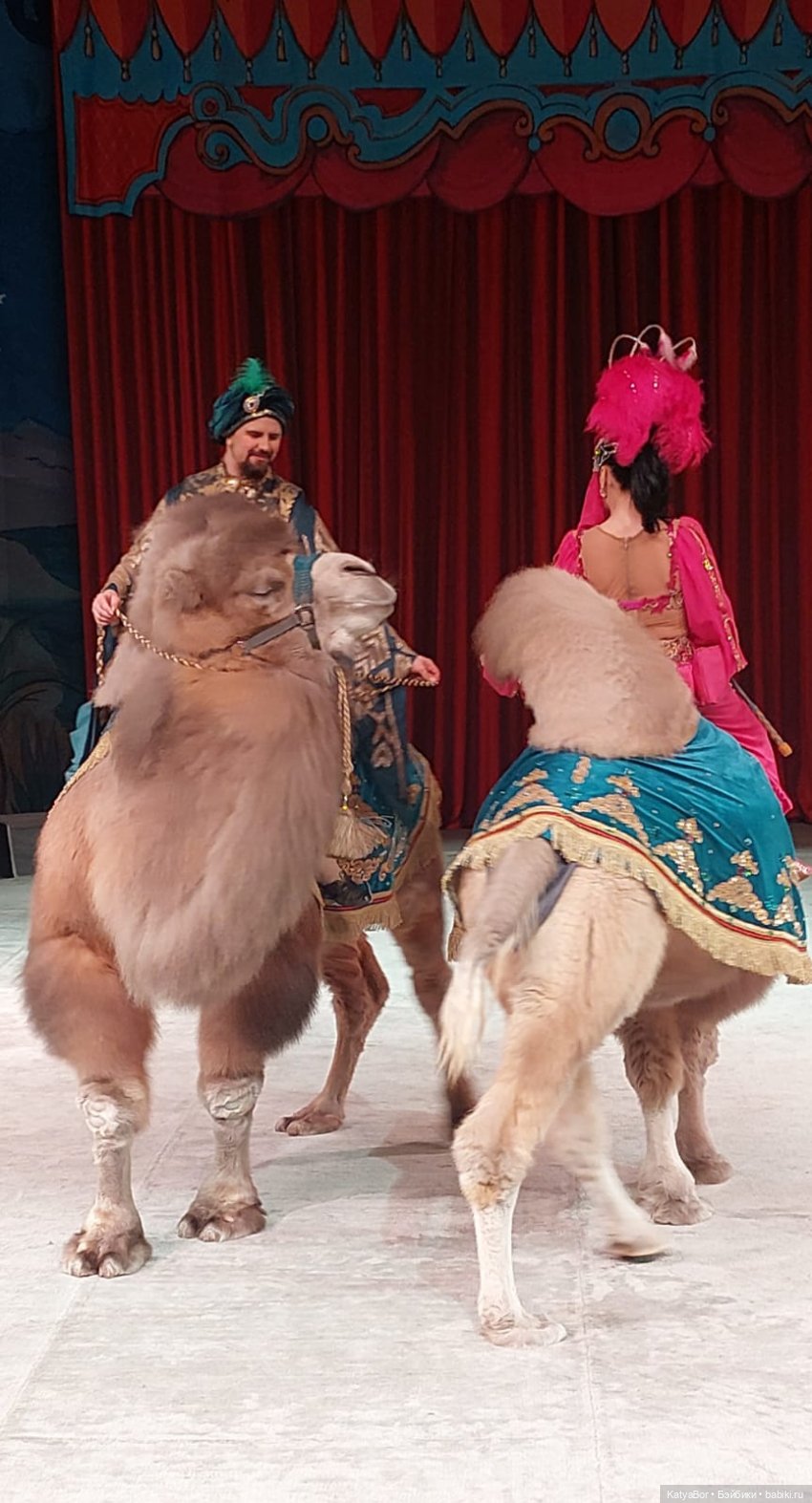 Елка в "Уголке дедушки Дурова"