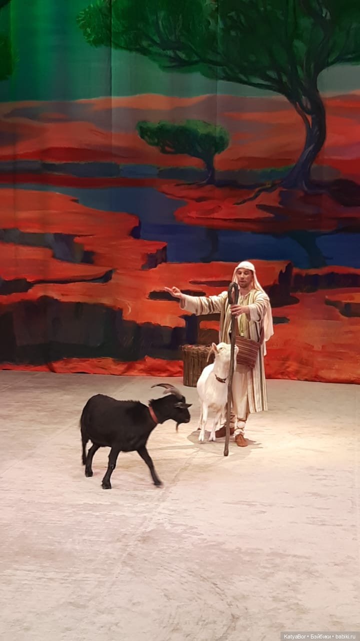 Елка в "Уголке дедушки Дурова" (фото 8)