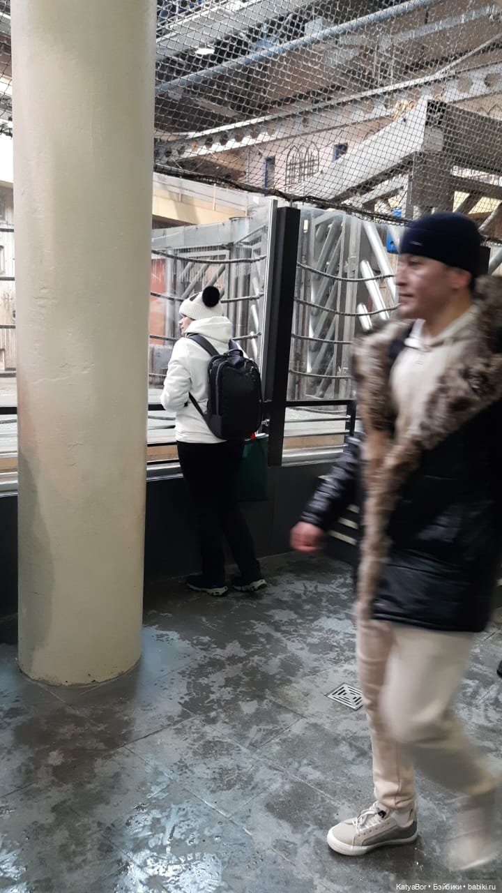 Хорошо было быть Катюшей в это воскресенье, и у зверей тоже есть игрушки (фото 6)