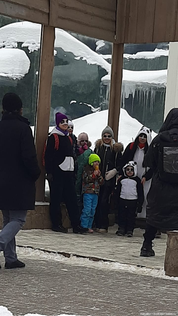 Хорошо было быть Катюшей в это воскресенье, и у зверей тоже есть игрушки (фото 5)