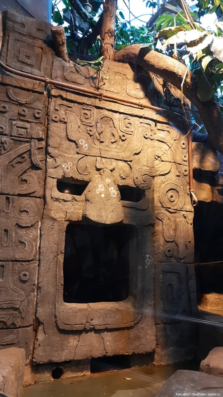 Хорошо было быть Катюшей в это воскресенье, и у зверей тоже есть игрушки