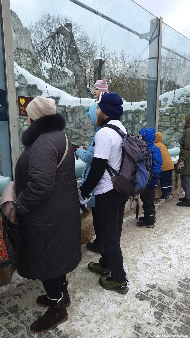 Хорошо было быть Катюшей в это воскресенье, и у зверей тоже есть игрушки (фото 8)