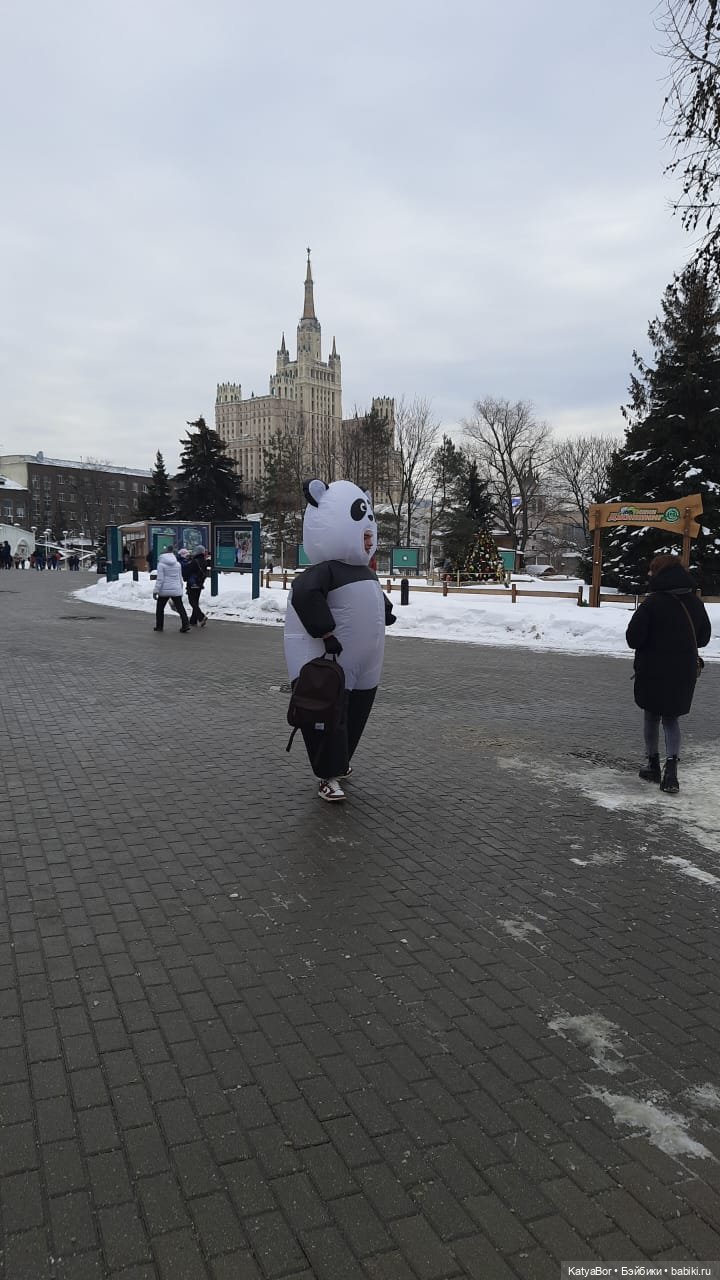 Хорошо было быть Катюшей в это воскресенье, и у зверей тоже есть игрушки (фото 3)