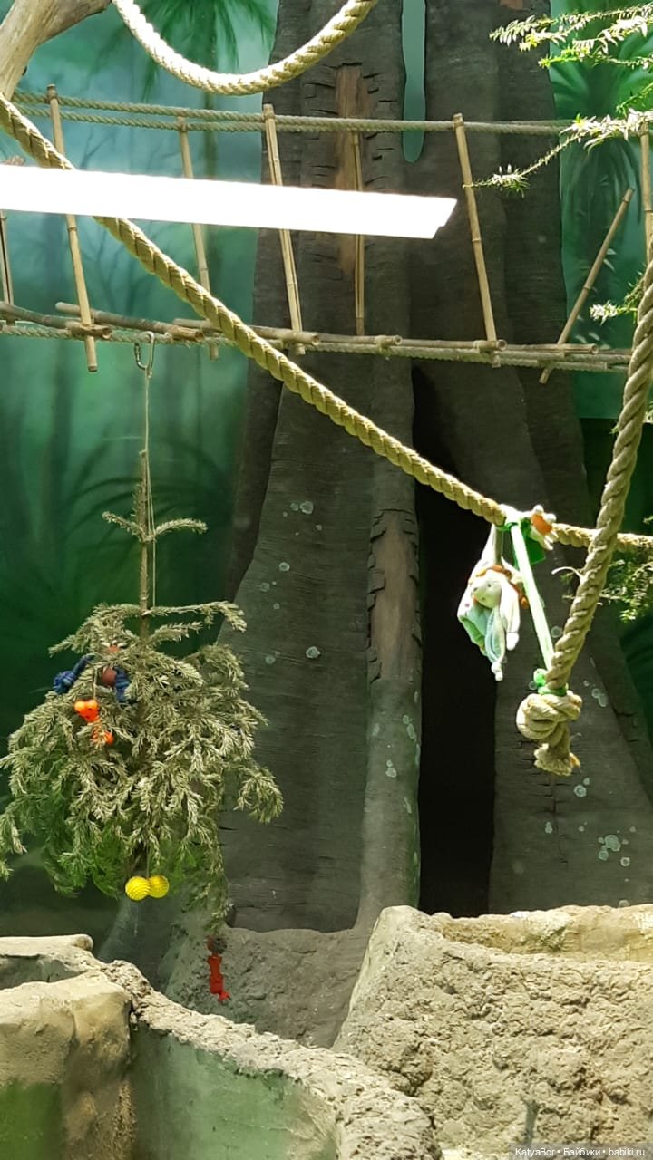 Хорошо было быть Катюшей в это воскресенье, и у зверей тоже есть игрушки