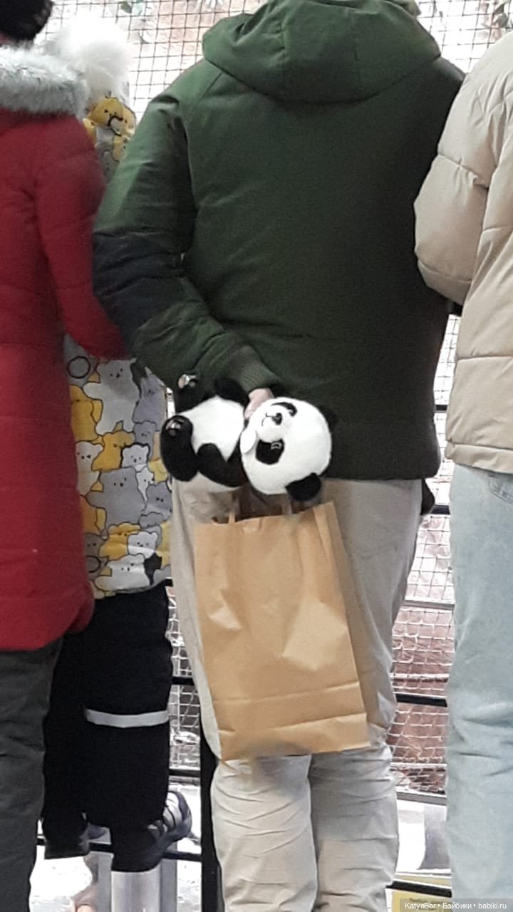 Хорошо было быть Катюшей в это воскресенье, и у зверей тоже есть игрушки (фото 7)