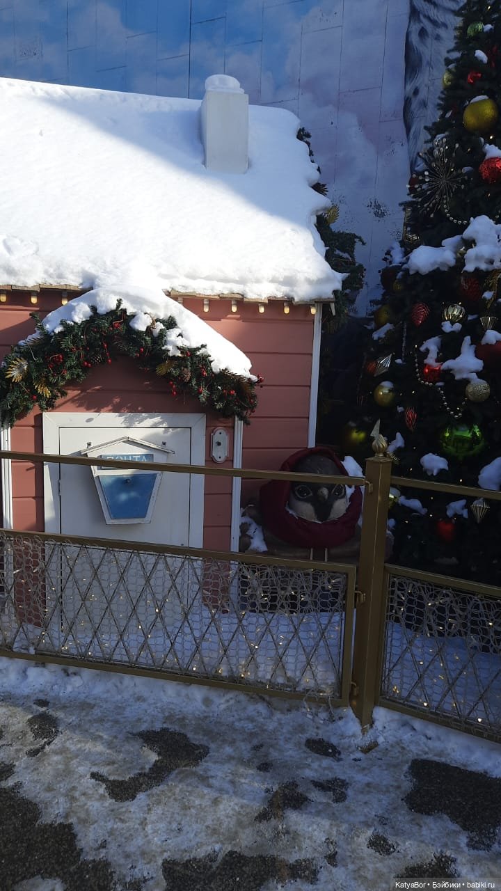 Хорошо было быть Катюшей в это воскресенье, и у зверей тоже есть игрушки (фото 2)