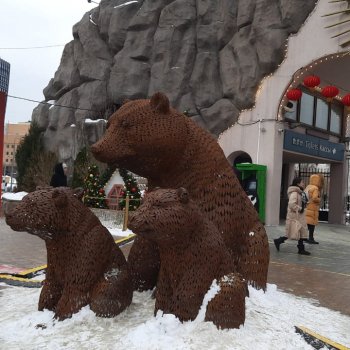 Хорошо было быть Катюшей в это воскресенье, и у зверей тоже есть игрушки