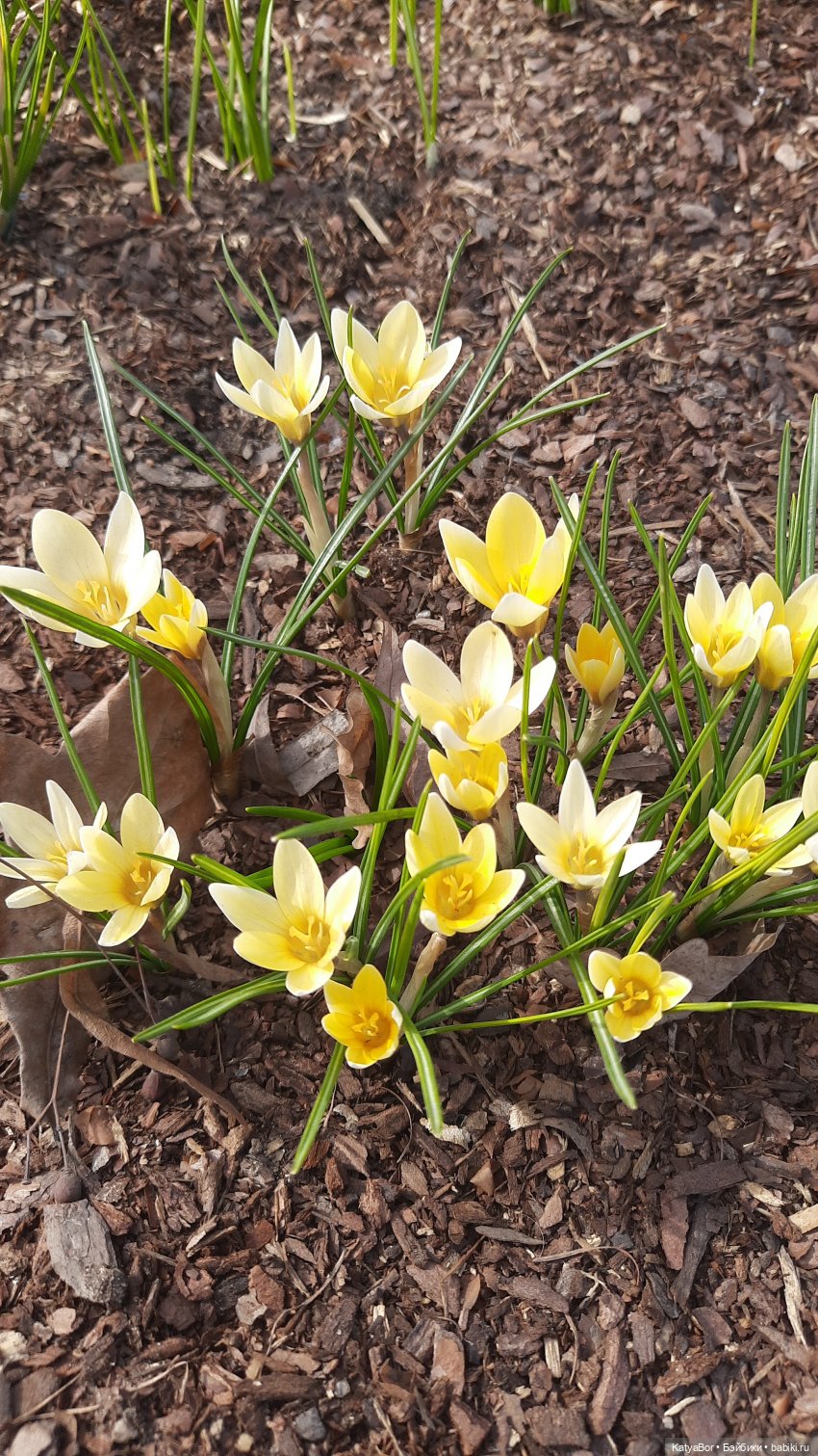 Весенние прогулки с куклами и без. От Кузнецкого моста до Китай-города (фото 10)