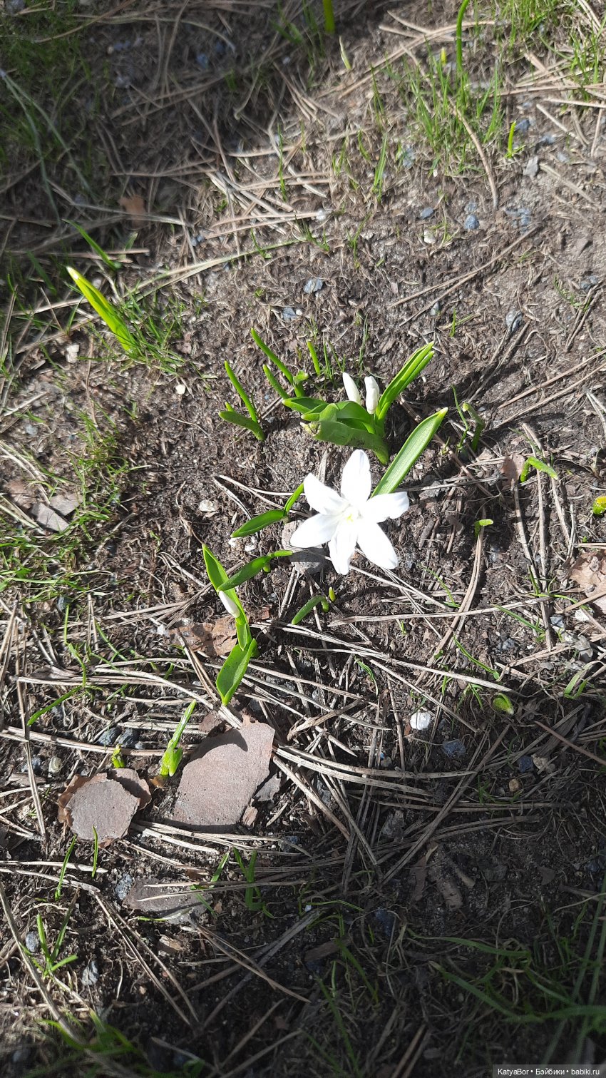 Весенние прогулки с куклами и без. От Кузнецкого моста до Китай-города