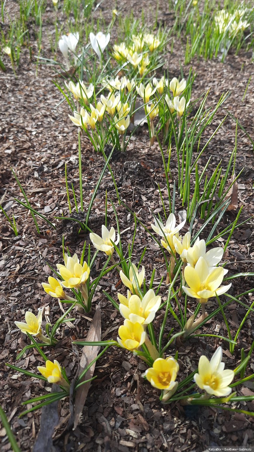 Весенние прогулки с куклами и без. От Кузнецкого моста до Китай-города