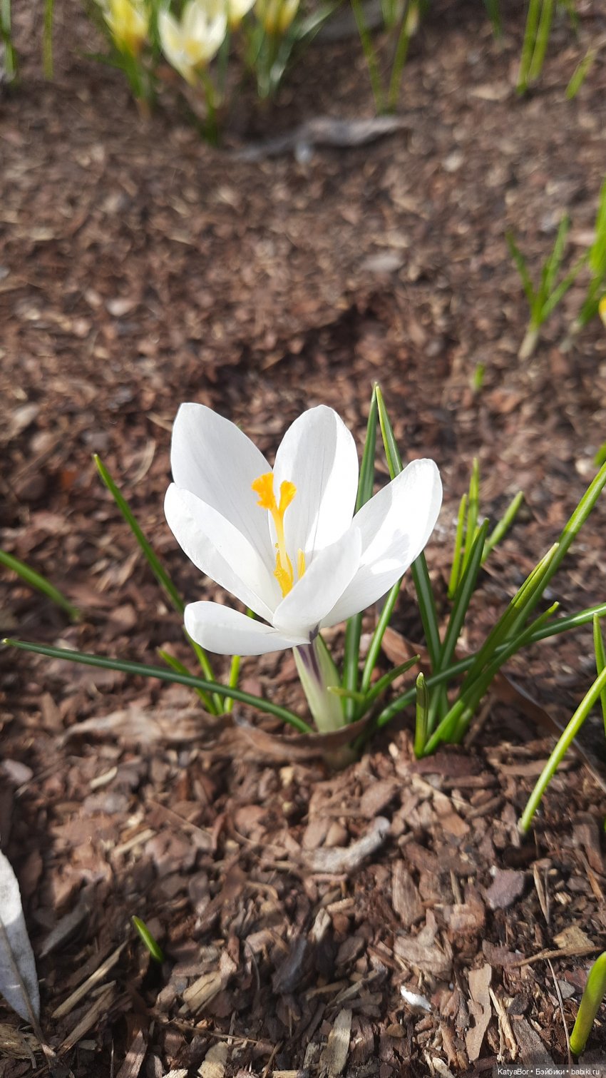Весенние прогулки с куклами и без. От Кузнецкого моста до Китай-города