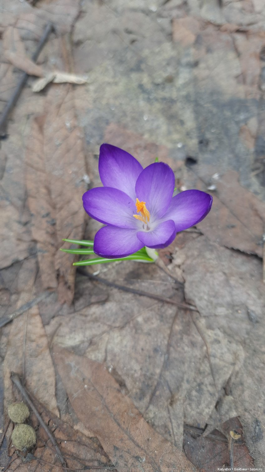 Весенние прогулки с куклами и без. От Кузнецкого моста до Китай-города