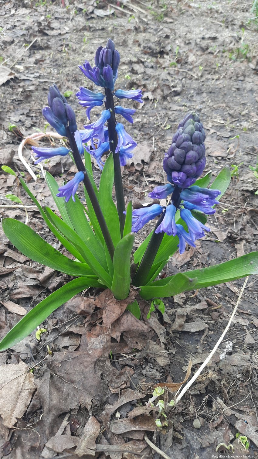 Весенние прогулки с куклами и без. От Кузнецкого моста до Китай-города