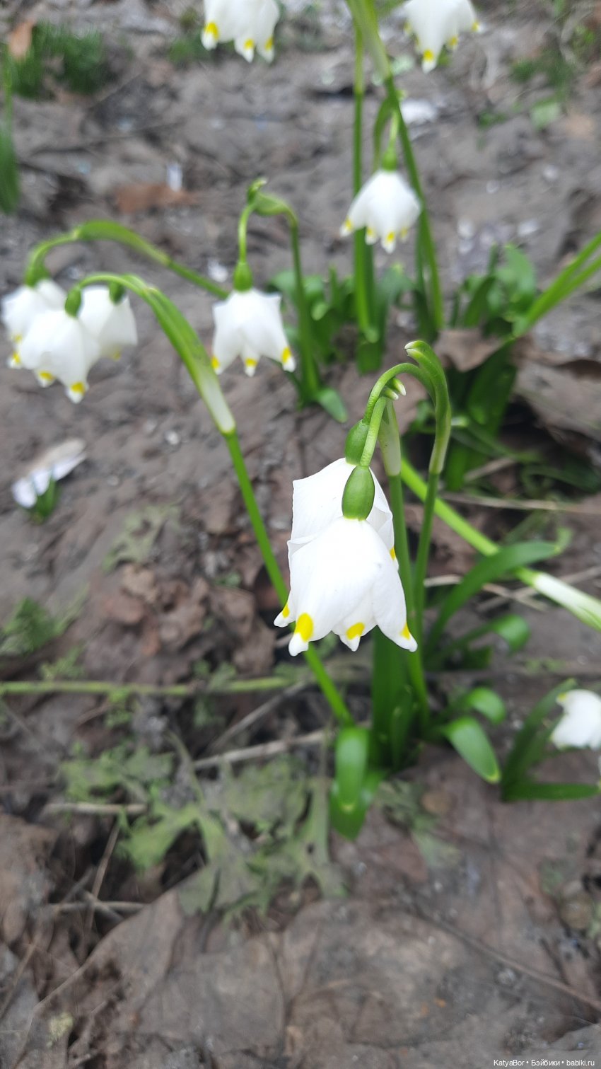 Весенние прогулки с куклами и без. От Кузнецкого моста до Китай-города