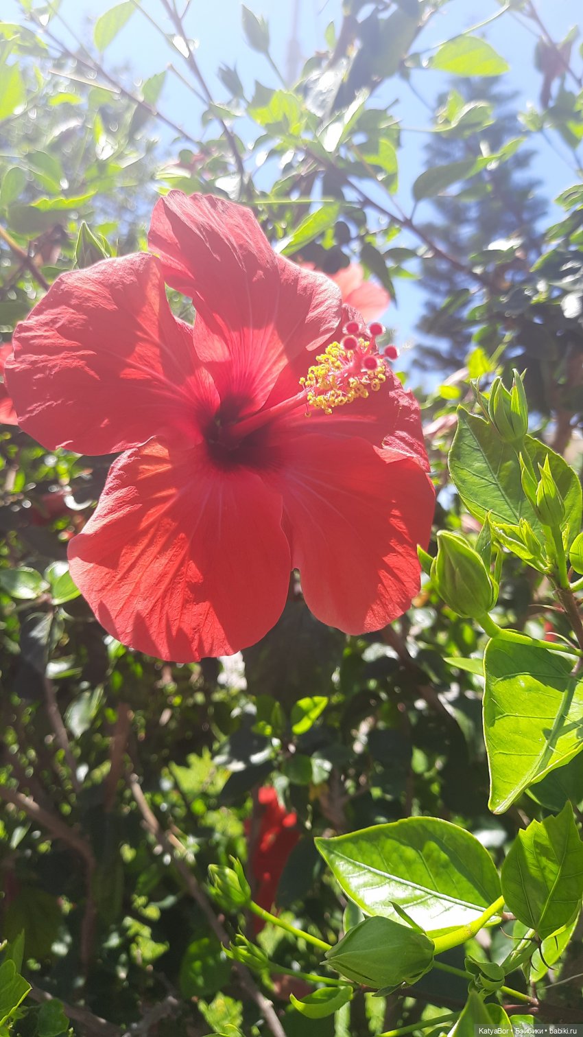 Романтическая история. Часть 3. Воссоединение (фото 10)