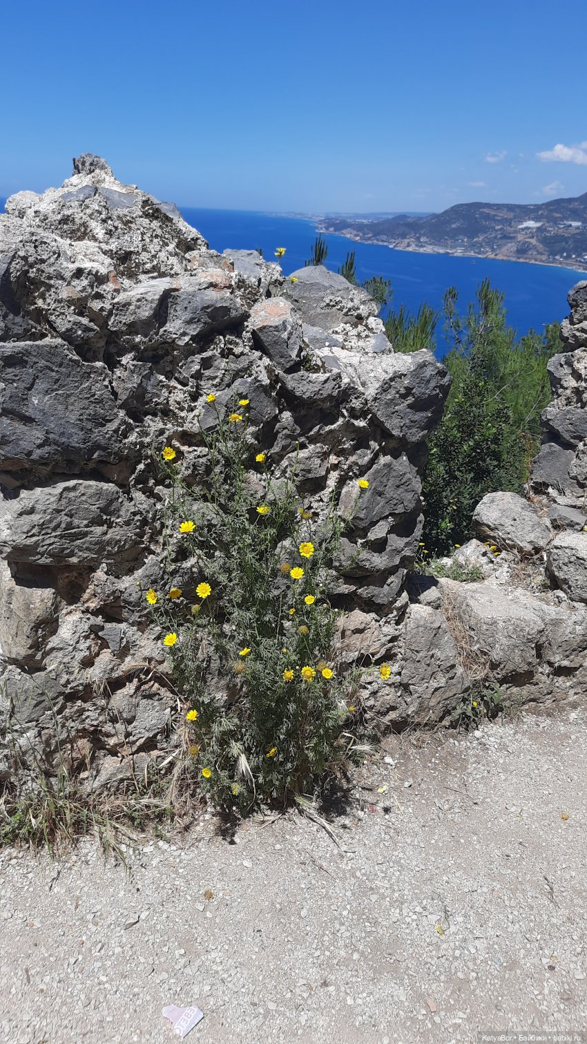 Романтическая история. Часть 3. Воссоединение