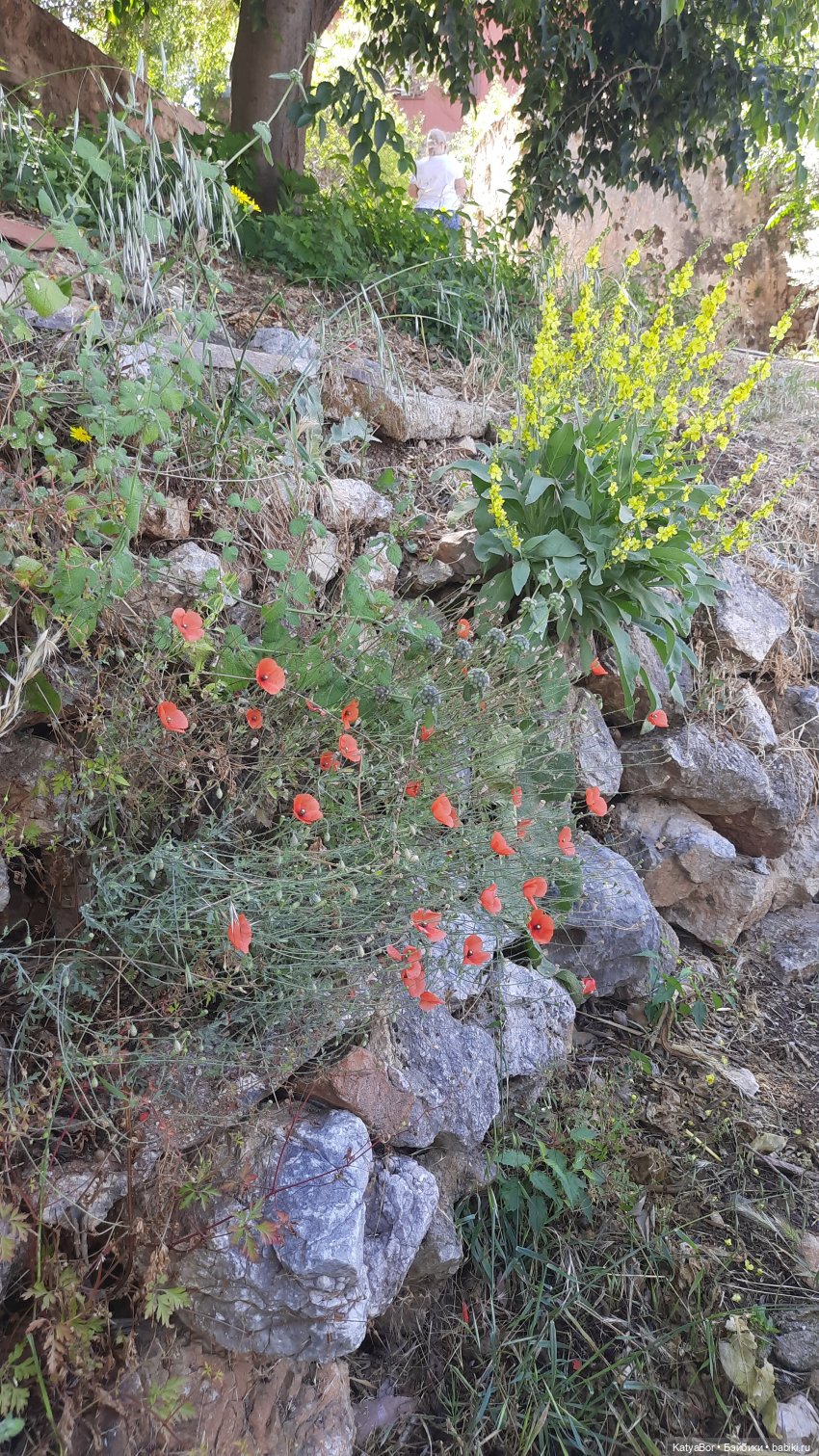 Романтическая история. Часть 3. Воссоединение