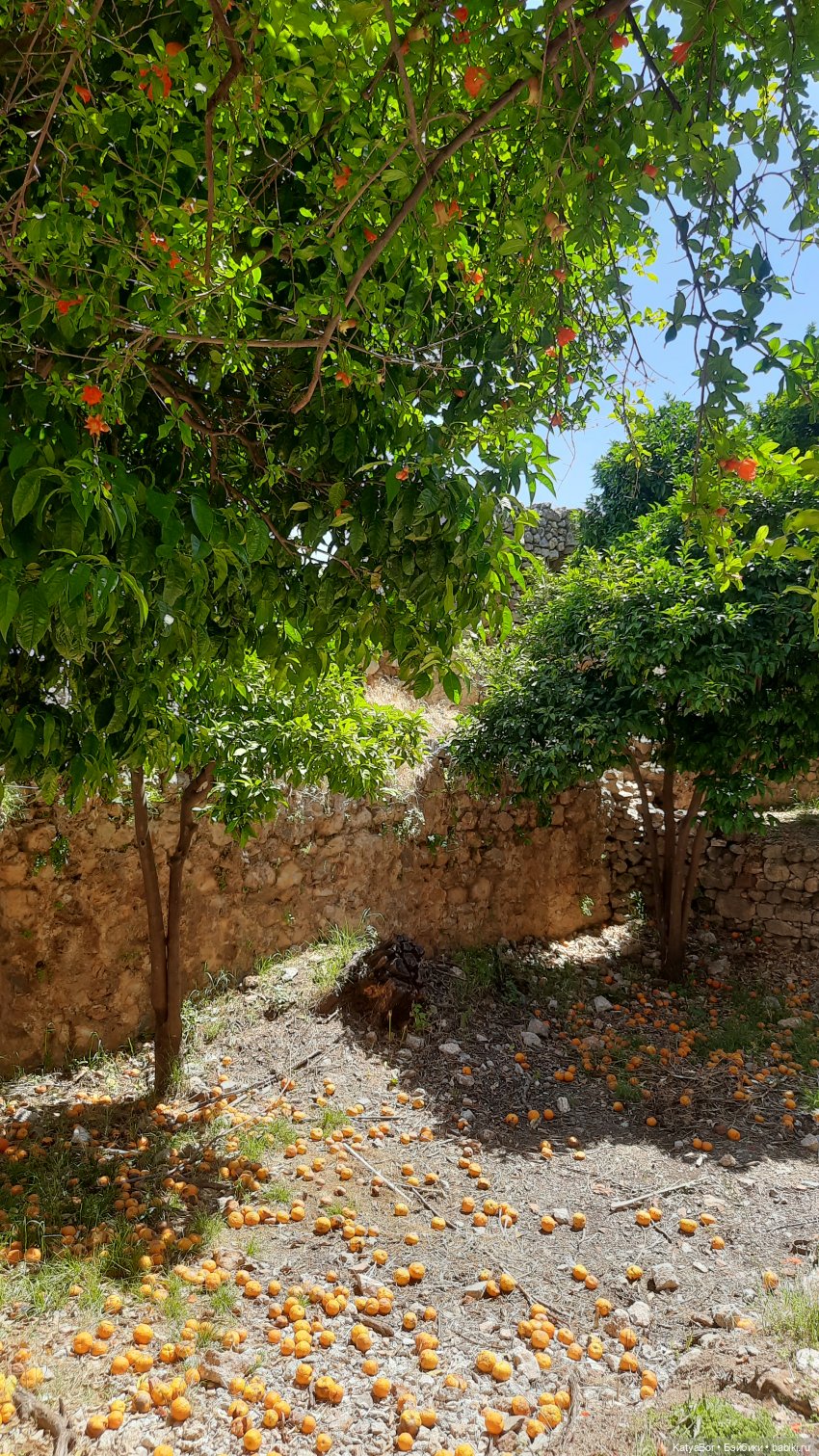 Романтическая история. Часть 1. Мера (фото 8)