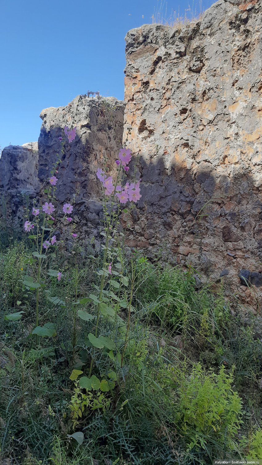 Романтическая история. Часть 1. Мера