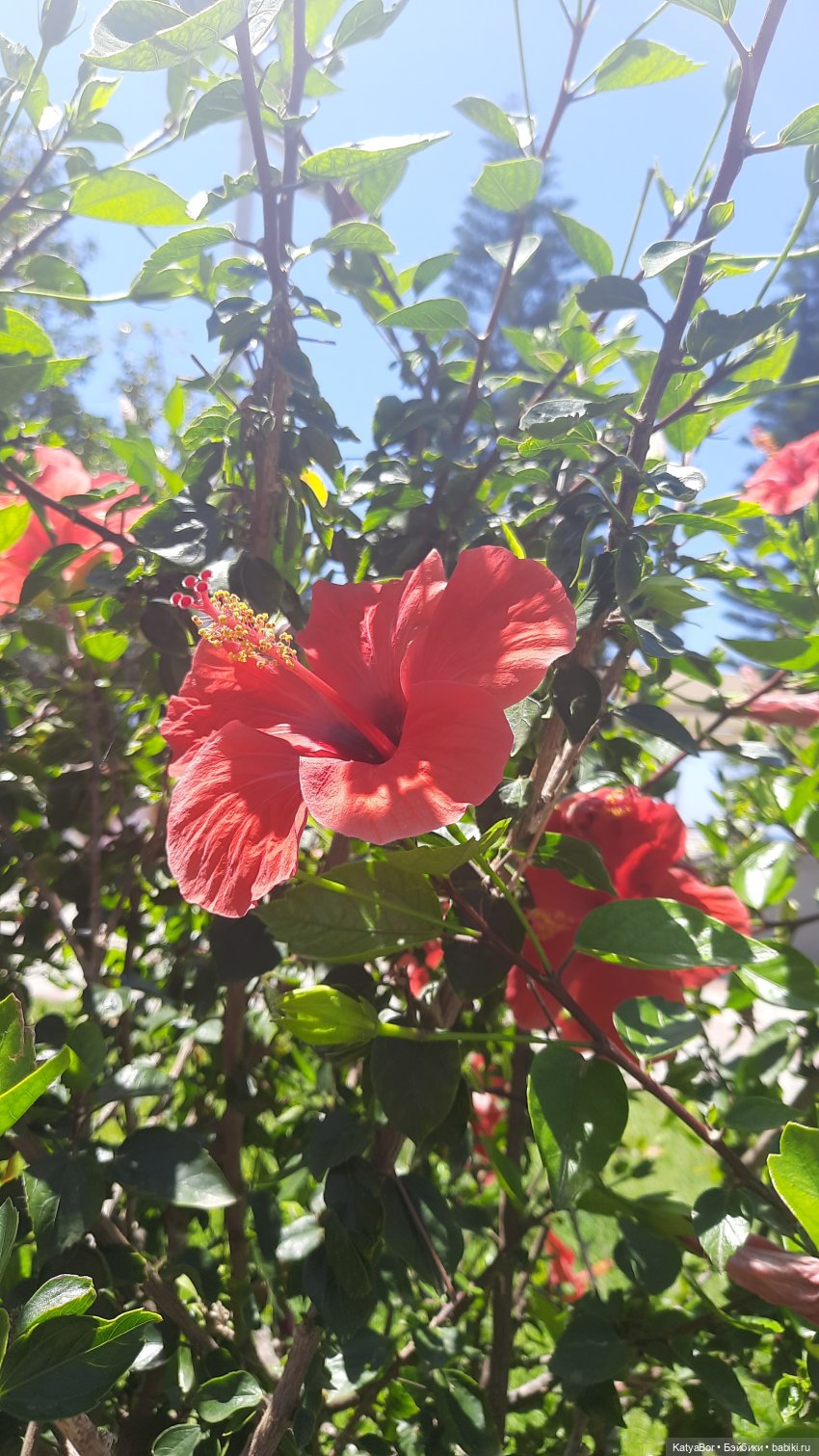 Романтическая история. Часть 1. Мера