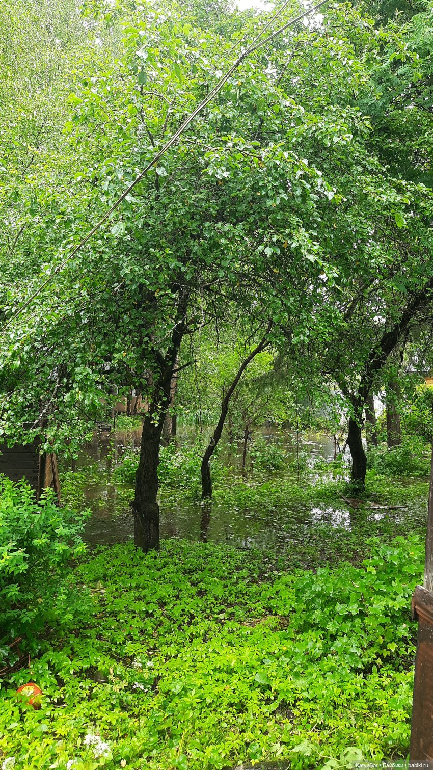 Лето Мальвины — Азиатские виниловые куклы (разное): Китай