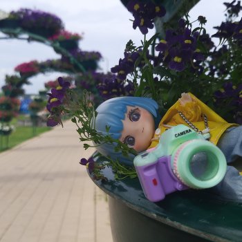 Лето Мальвины