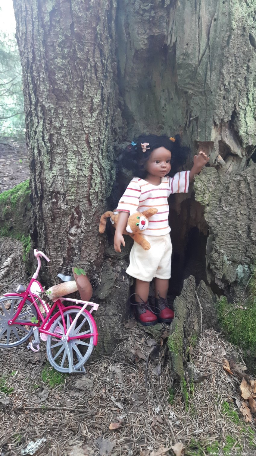 Приключения Ангелины у Лесного озера (фото 6)