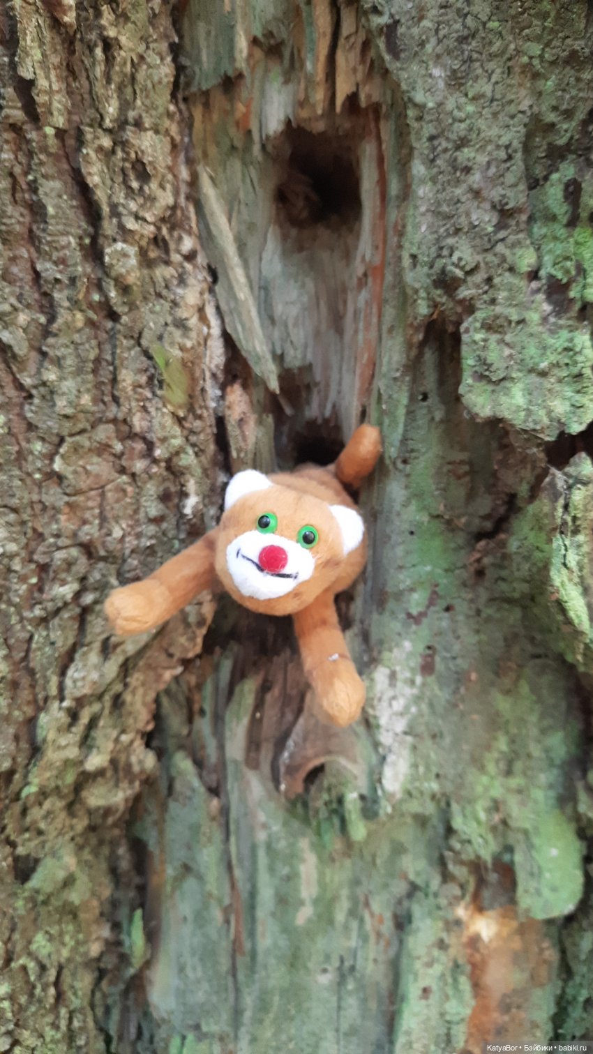 Приключения Ангелины у Лесного озера (фото 8)