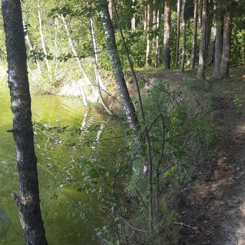 Ангелина путешествует на Истру