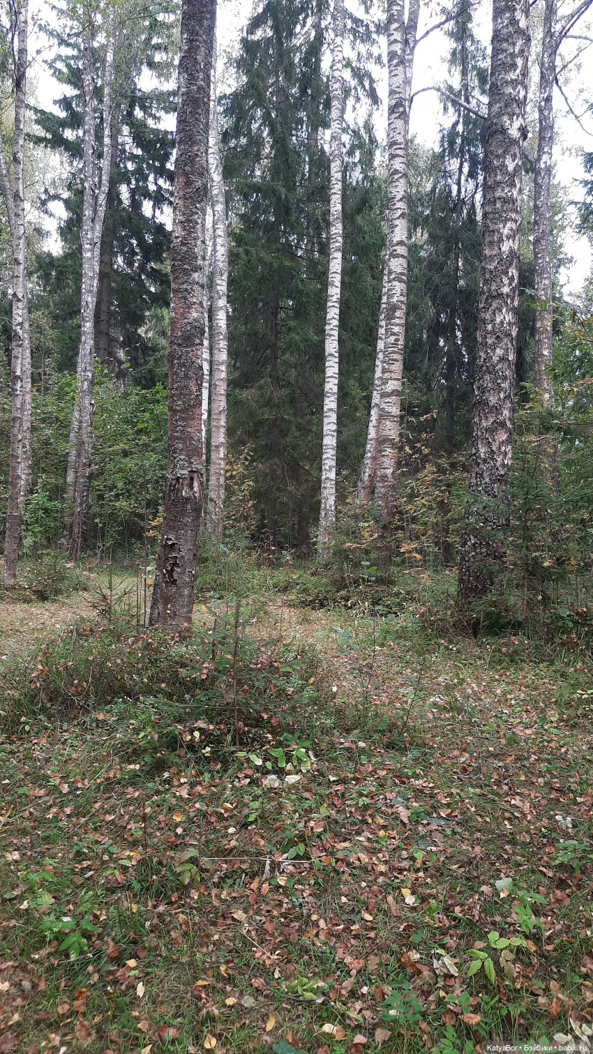 Мистическая кукла — Домашние фото авторских кукол: личные коллекции