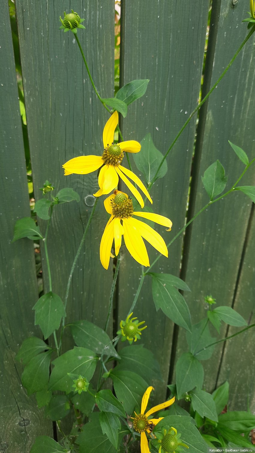 Мистическая кукла — Домашние фото авторских кукол: личные коллекции (фото 4)